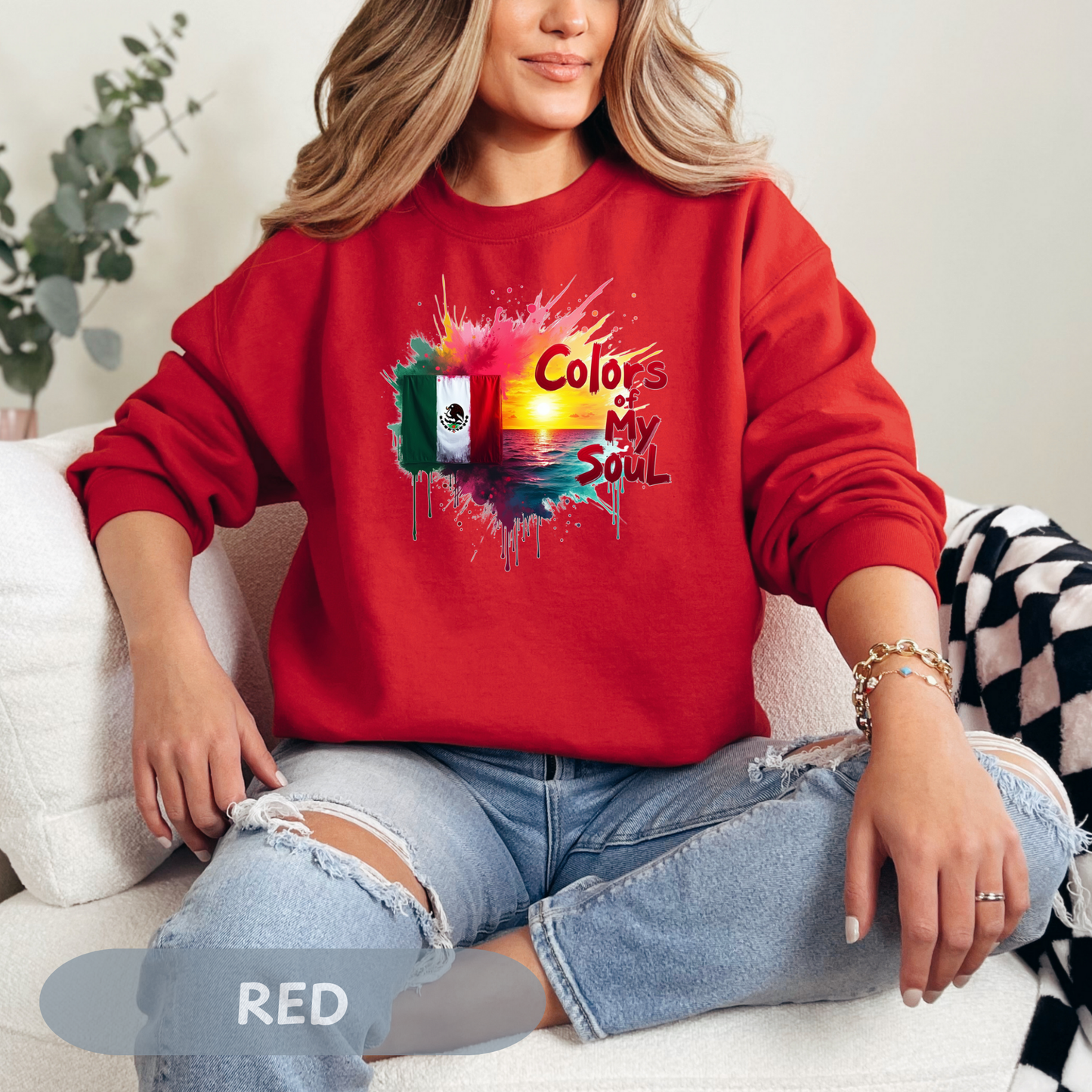 Mexico Colors of My Soul Sweatshirt, Viva La Vida, Soy Mexicano, No Human Is Illegal, Resist with Mexican Power, Chicano Power, FDT