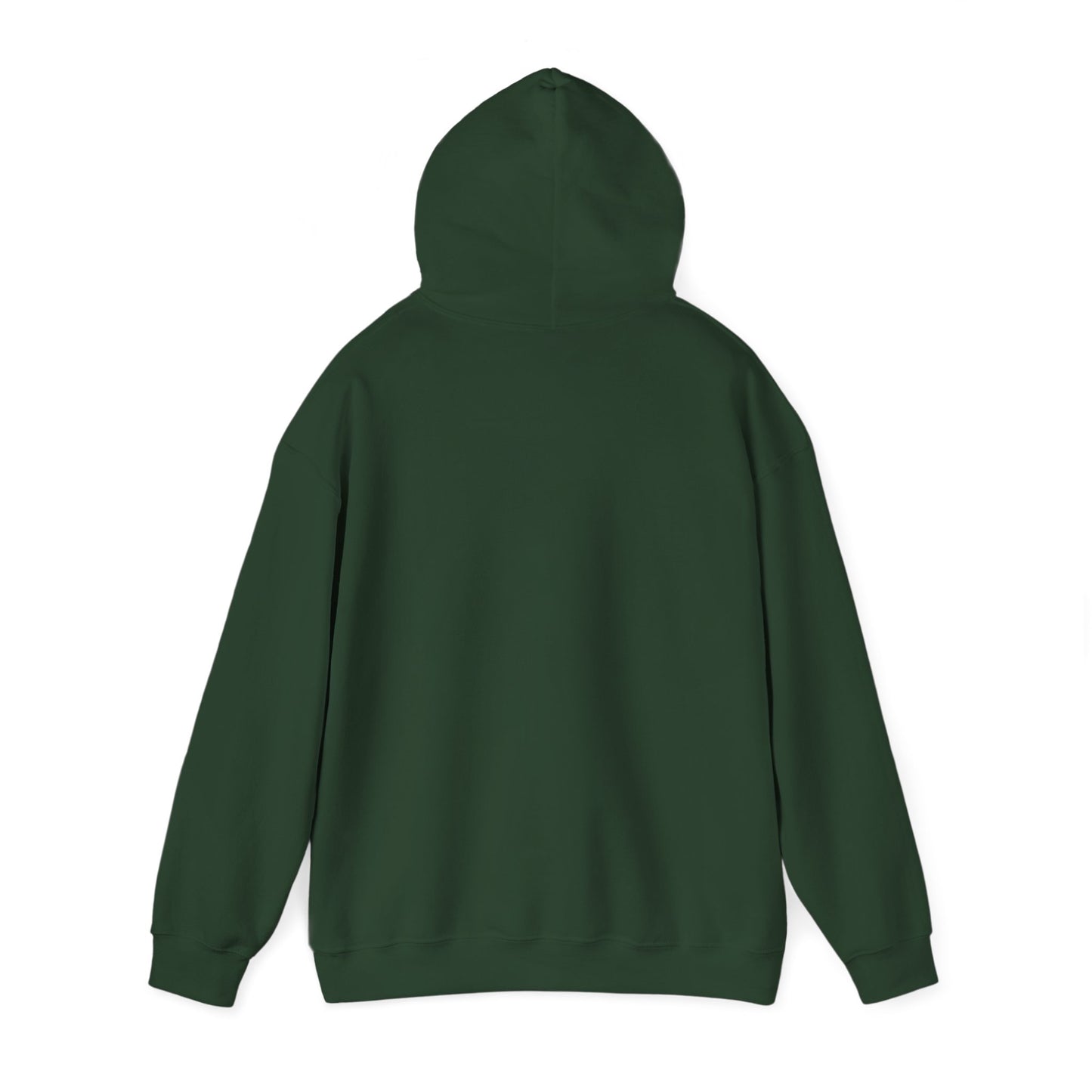 Family Cruise 2025 Hoodie, Cruise Hoodie, Family Vacation Tee, Family Cruise Hoodie, Custom Family Shirt, Cruise Squad 2025