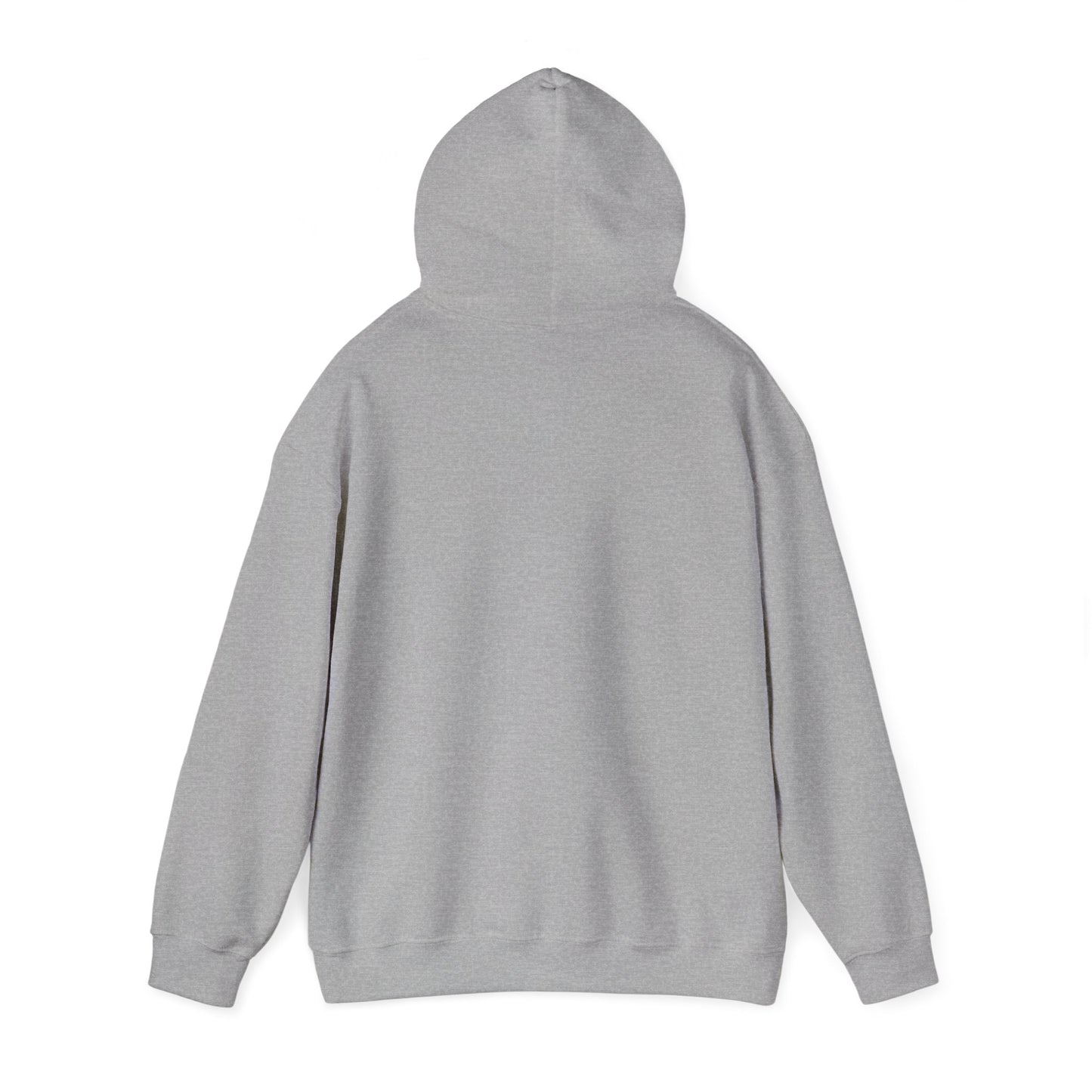 Taurus Zodiac Hoodie, Astrology Sweatshirt, Birthday Gift, Unisex Pullover, Horoscope Apparel, Comfortable Style