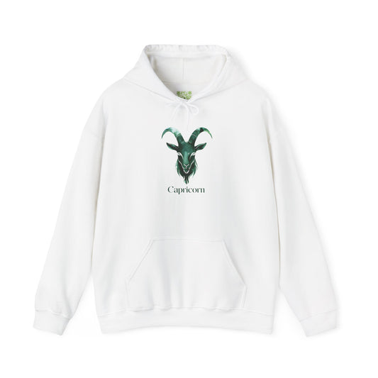 Capricorn Zodiac Hoodie, Astrology Sweatshirt, Birthday Gift, Unisex Pullover, Horoscope Apparel, Comfortable Style