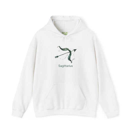 Sagittarius Zodiac Hoodie, Astrology Sweatshirt, Birthday Gift, Unisex Pullover, Horoscope Apparel, Comfortable Style